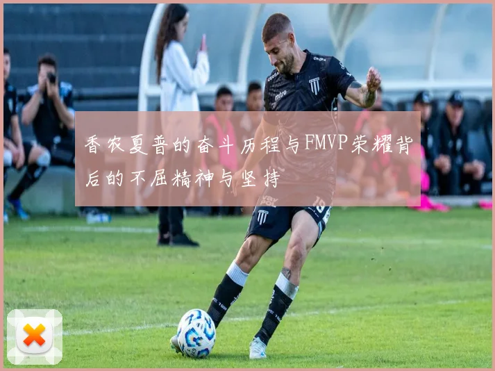 香农夏普的奋斗历程与FMVP荣耀背后的不屈精神与坚持