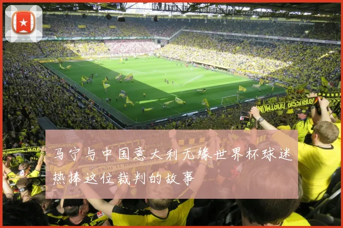 马宁与中国意大利无缘世界杯球迷热捧这位裁判的故事