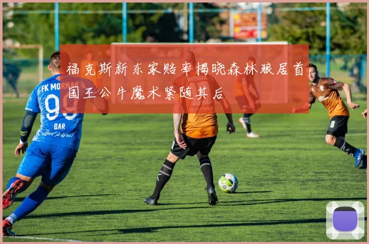 福克斯新东家赔率揭晓森林狼居首国王公牛魔术紧随其后